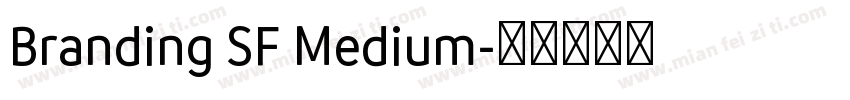 Branding SF Medium字体转换